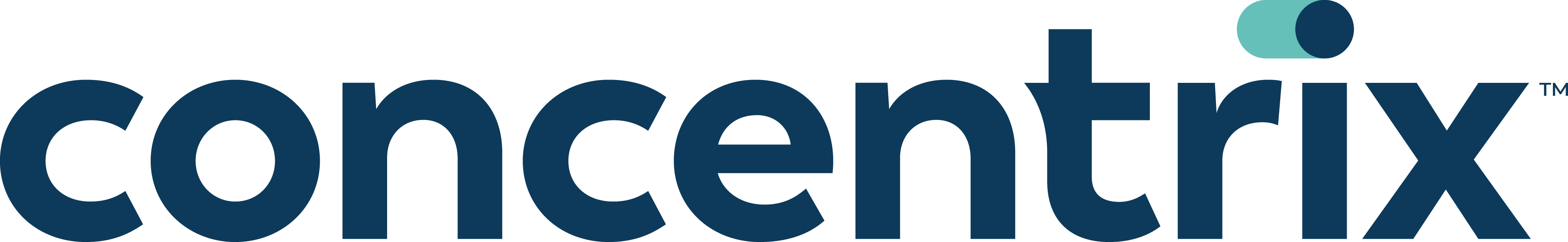 Vietnam Concentrix Services