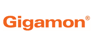 gigamon